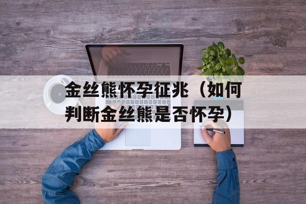 金丝熊怀孕征兆（如何判断金丝熊是否怀孕）-第1张图片-