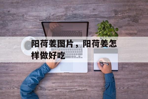 阳荷姜图片，阳荷姜怎样做好吃-第1张图片-