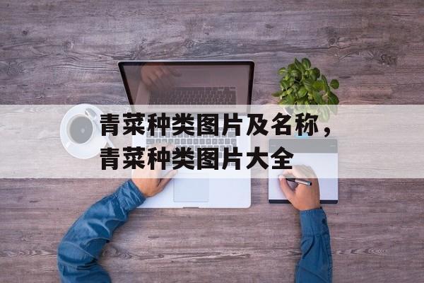 青菜种类图片及名称，青菜种类图片大全-第1张图片-