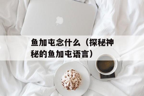 鱼加屯念什么（探秘神秘的鱼加屯语言）-第1张图片-