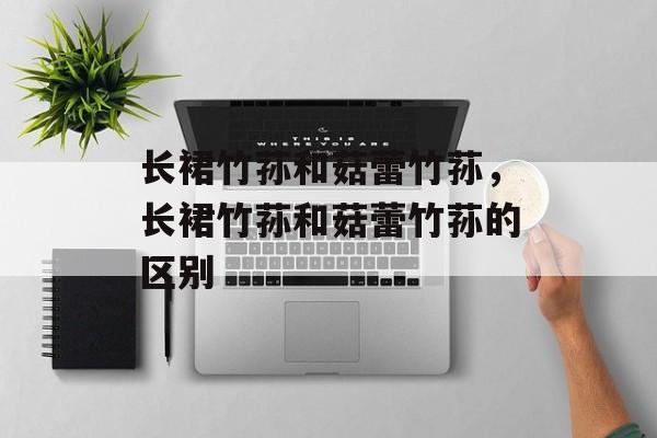 长裙竹荪和菇蕾竹荪，长裙竹荪和菇蕾竹荪的区别-第1张图片-