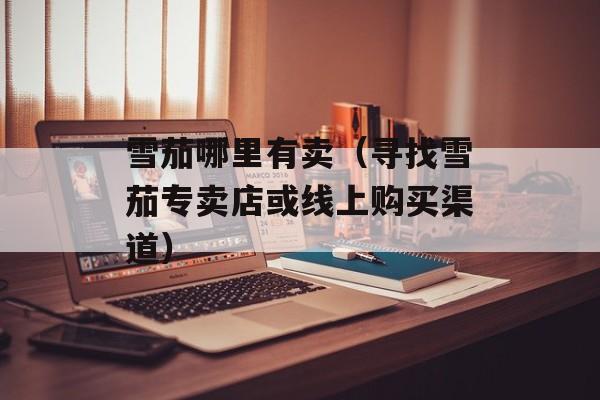 雪茄哪里有卖（寻找雪茄专卖店或线上购买渠道）-第1张图片-