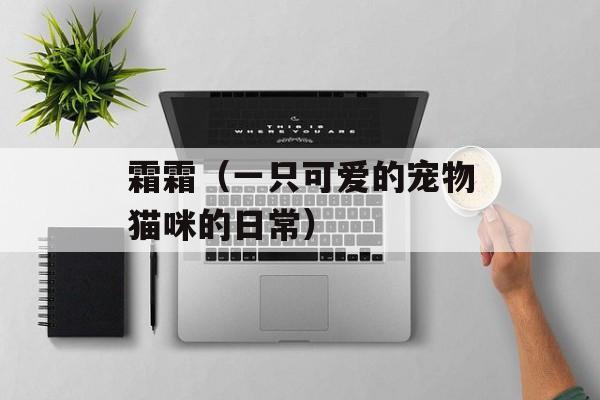 霜霜（一只可爱的宠物猫咪的日常）-第1张图片-