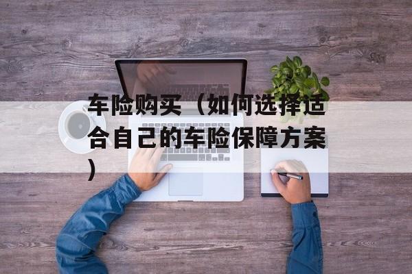 车险购买（如何选择适合自己的车险保障方案）-第1张图片-