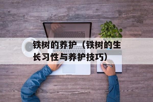 铁树的养护（铁树的生长习性与养护技巧）-第1张图片-