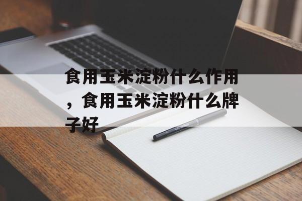 食用玉米淀粉什么作用，食用玉米淀粉什么牌子好-第1张图片-