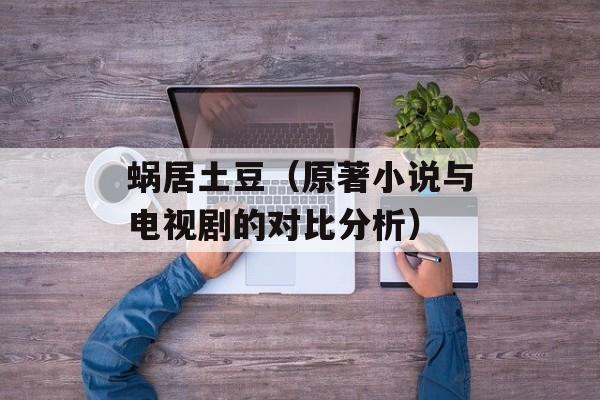 蜗居土豆（原著小说与电视剧的对比分析）-第1张图片-