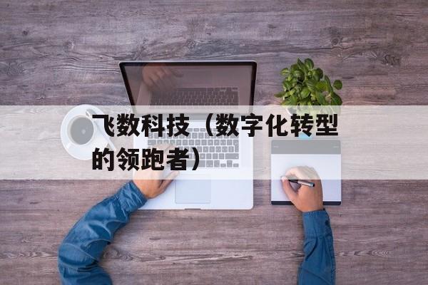 飞数科技（数字化转型的领跑者）-第1张图片-