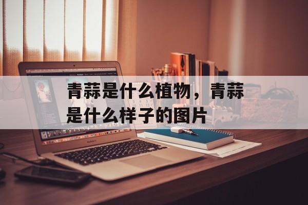 青蒜是什么植物，青蒜是什么样子的图片-第1张图片-