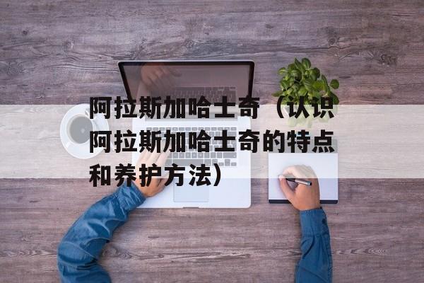 阿拉斯加哈士奇（认识阿拉斯加哈士奇的特点和养护方法）-第1张图片-