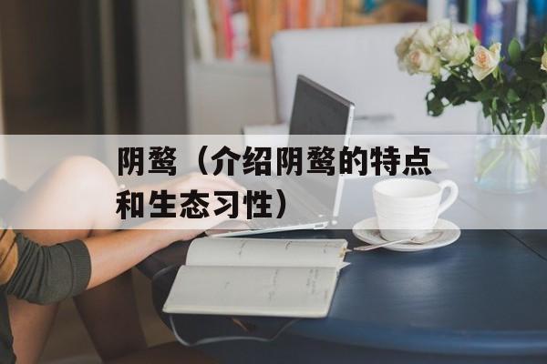 阴鹜（介绍阴鹜的特点和生态习性）-第1张图片-