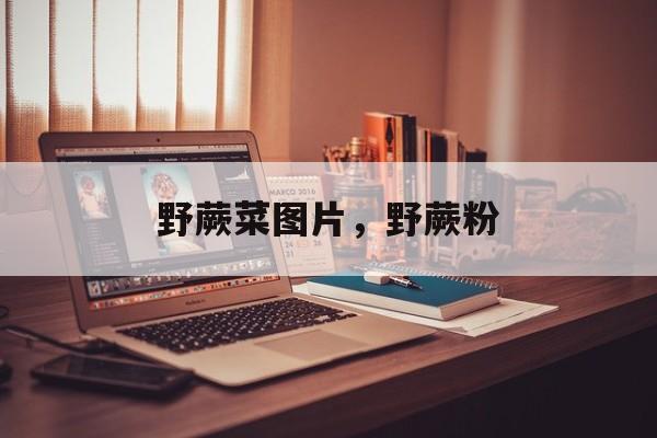 野蕨菜图片，野蕨粉-第1张图片-