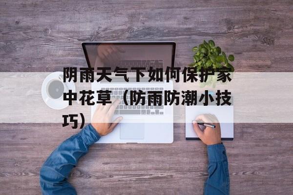 阴雨天气下如何保护家中花草（防雨防潮小技巧）-第1张图片-