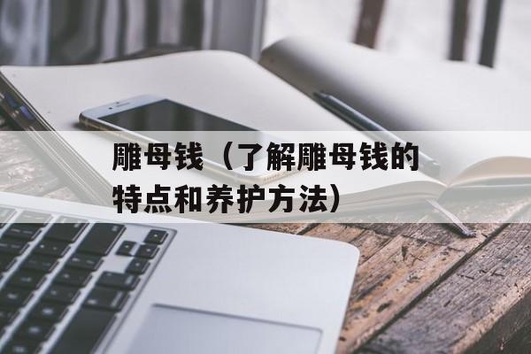 雕母钱（了解雕母钱的特点和养护方法）-第1张图片-