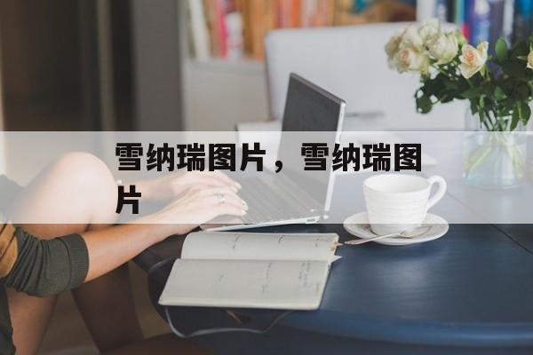 雪纳瑞图片，雪纳瑞图片-第1张图片-