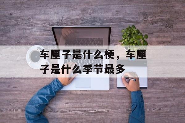 车厘子是什么梗，车厘子是什么季节最多-第1张图片-