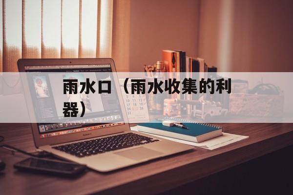 雨水口（雨水收集的利器）-第1张图片-
