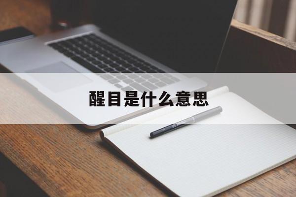 醒目是什么意思-第1张图片-