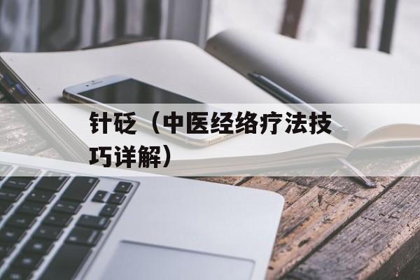 针砭（中医经络疗法技巧详解）-第1张图片-