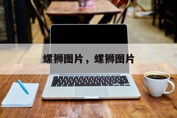 螺狮图片，螺狮图片-第1张图片-