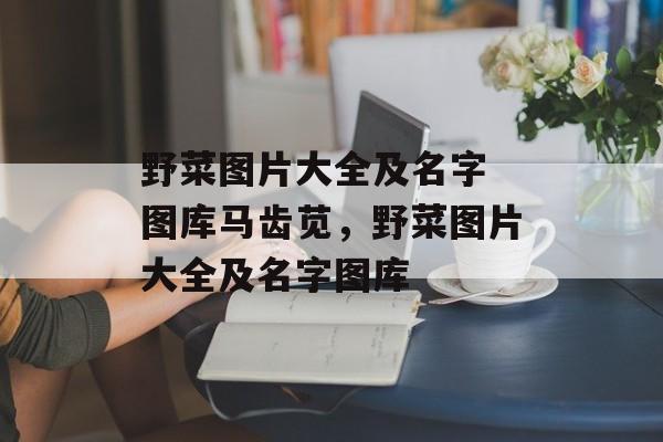 野菜图片大全及名字 图库马齿苋，野菜图片大全及名字图库-第1张图片-