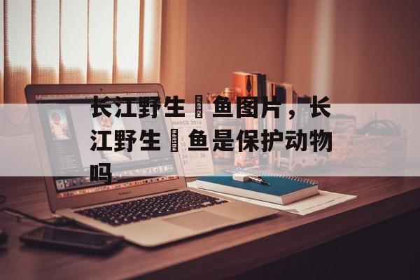 长江野生鮰鱼图片，长江野生鮰鱼是保护动物吗-第1张图片-