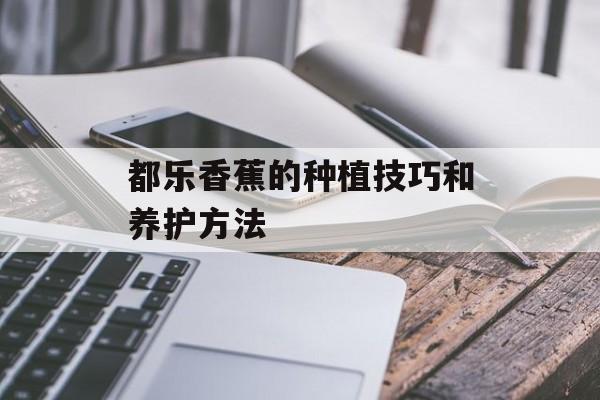 都乐香蕉的种植技巧和养护方法-第1张图片-
