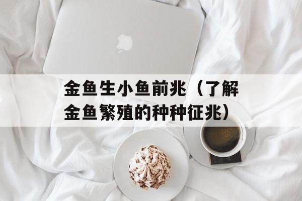 金鱼生小鱼前兆（了解金鱼繁殖的种种征兆）-第1张图片-