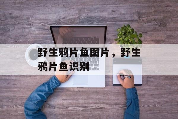 野生鸦片鱼图片，野生鸦片鱼识别-第1张图片-