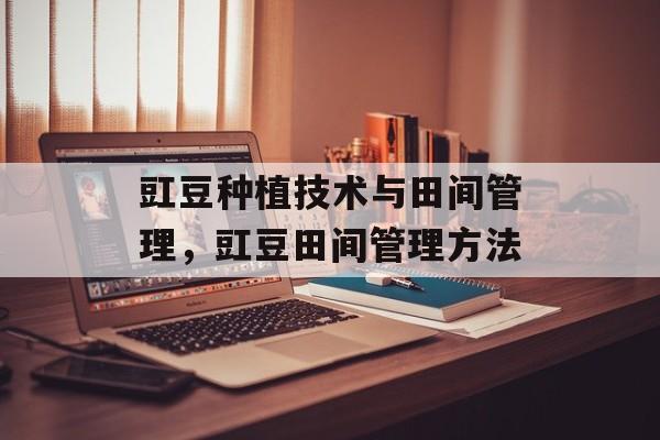豇豆种植技术与田间管理，豇豆田间管理方法-第1张图片-
