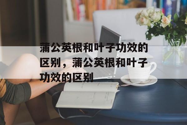 蒲公英根和叶子功效的区别，蒲公英根和叶子功效的区别-第1张图片-