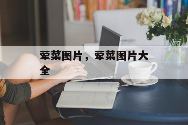荤菜图片，荤菜图片大全-第1张图片-