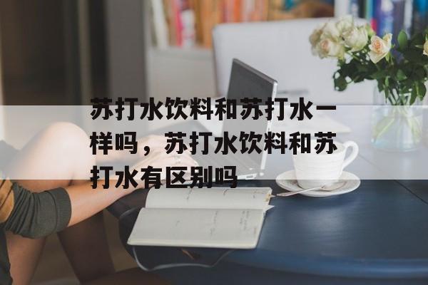 苏打水饮料和苏打水一样吗，苏打水饮料和苏打水有区别吗-第1张图片-