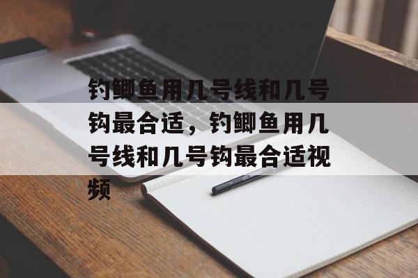 钓鲫鱼用几号线和几号钩最合适，钓鲫鱼用几号线和几号钩最合适视频-第1张图片-