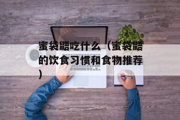 蜜袋鼯吃什么（蜜袋鼯的饮食习惯和食物推荐）-第1张图片-