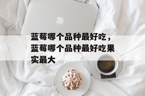 蓝莓哪个品种最好吃，蓝莓哪个品种最好吃果实最大-第1张图片-