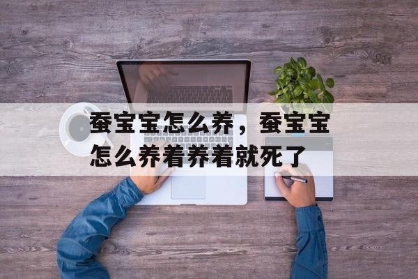 蚕宝宝怎么养，蚕宝宝怎么养着养着就死了-第1张图片-