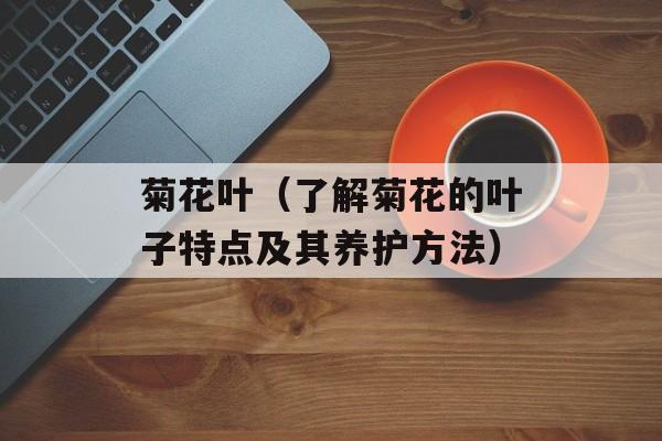 菊花叶（了解菊花的叶子特点及其养护方法）-第1张图片-