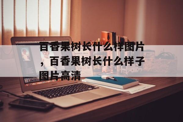 百香果树长什么样图片，百香果树长什么样子图片高清-第1张图片-