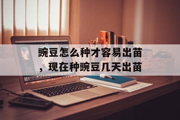 豌豆怎么种才容易出苗，现在种豌豆几天出苗-第1张图片-
