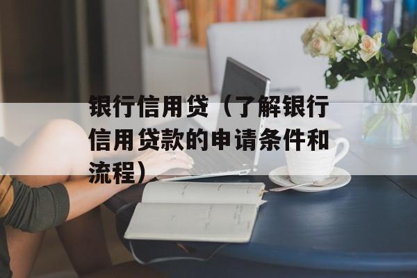 银行信用贷（了解银行信用贷款的申请条件和流程）-第1张图片-