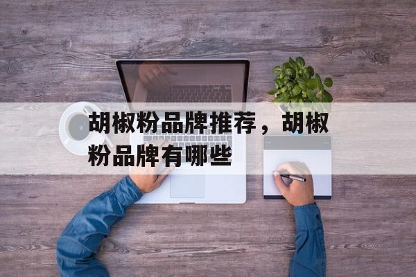 胡椒粉品牌推荐，胡椒粉品牌有哪些-第1张图片-