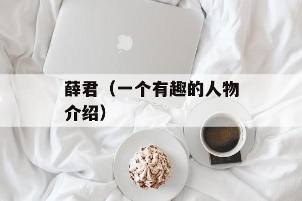 薛君（一个有趣的人物介绍）-第1张图片-