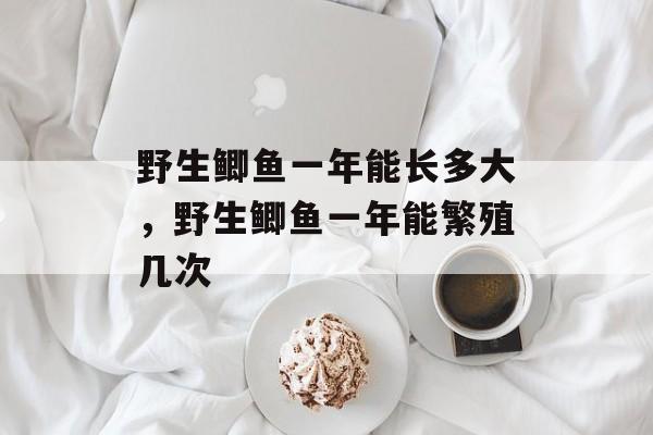 野生鲫鱼一年能长多大，野生鲫鱼一年能繁殖几次-第1张图片-