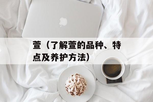 萱（了解萱的品种、特点及养护方法）-第1张图片-