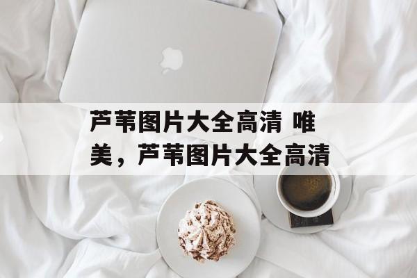 芦苇图片大全高清 唯美，芦苇图片大全高清-第1张图片-