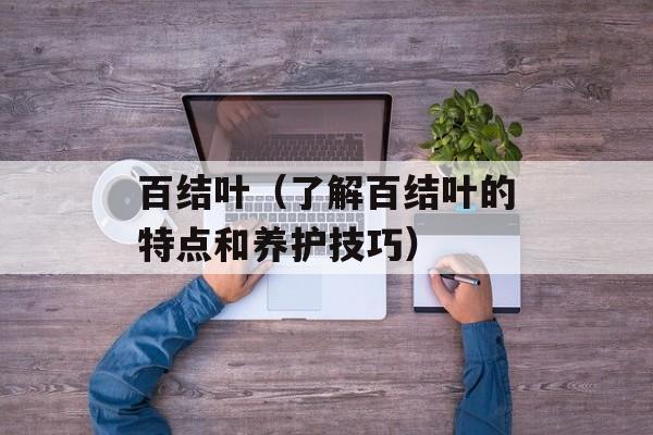 百结叶（了解百结叶的特点和养护技巧）-第1张图片-