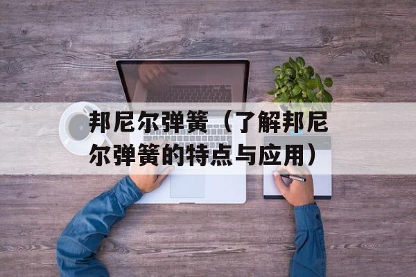 邦尼尔弹簧（了解邦尼尔弹簧的特点与应用）-第1张图片-