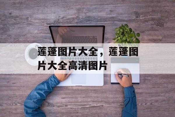 莲蓬图片大全，莲蓬图片大全高清图片-第1张图片-