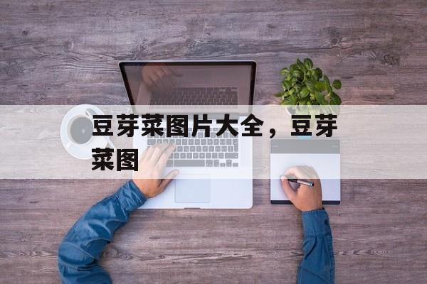 豆芽菜图片大全，豆芽菜图-第1张图片-